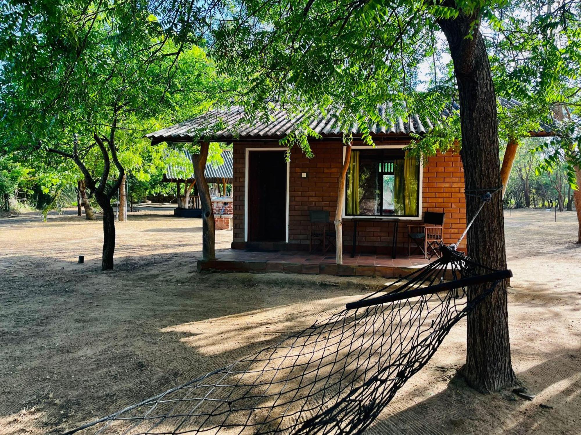 Funky Leopard Safari Lodge Bordering Yala National Park Kataragama Exteriör bild