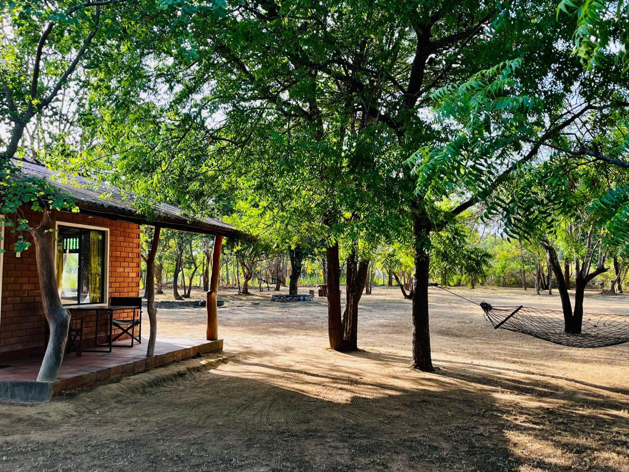 Funky Leopard Safari Lodge Bordering Yala National Park Kataragama Exteriör bild